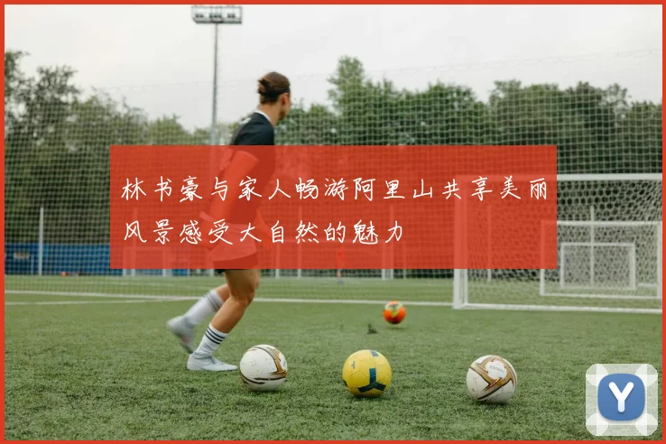 林书豪与家人畅游阿里山共享美丽风景感受大自然的魅力